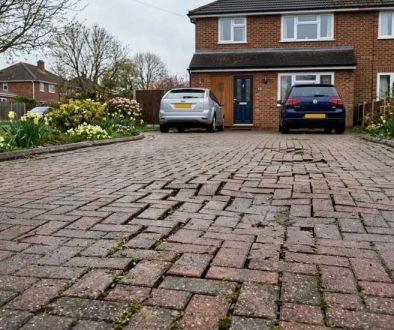 Fix Frost Damage in March