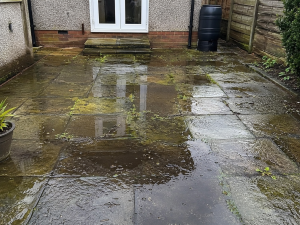 Mossy patio with drainage issues