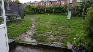 Muddy backyard after the rain with natural grass