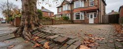 Tree roots lifting block paving on a North East driveway