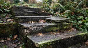 Uneven concrete garden steps with worn edges and algae